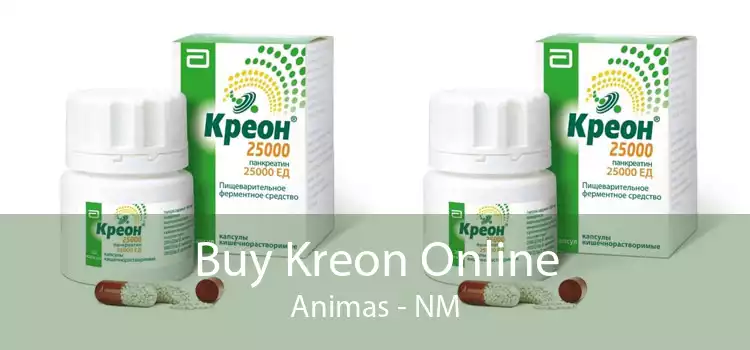 Buy Kreon Online Animas - NM
